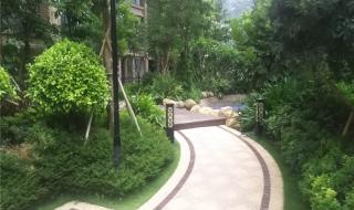 汕头金园实验中学 汕头金园实验中学